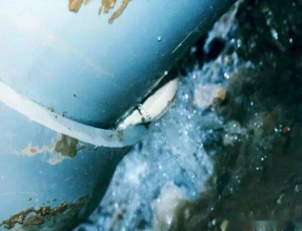 1704244064386926.jpg 22 (1).jpg